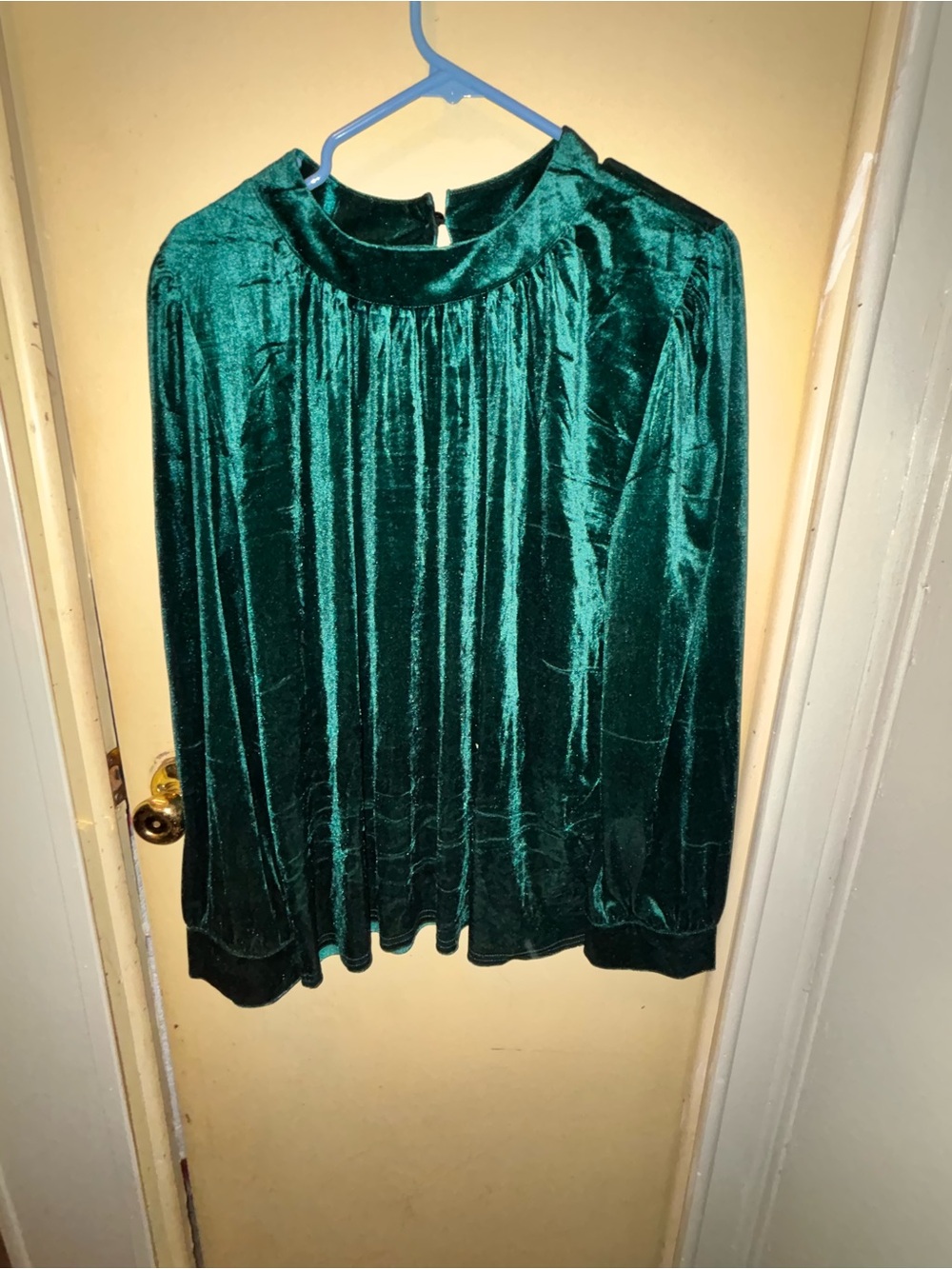 Amazon Emerald Green Velvet Blouse with High Neck